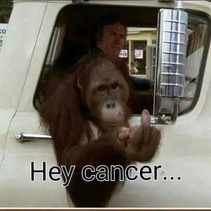 Meet your Posher, Keddy n casey